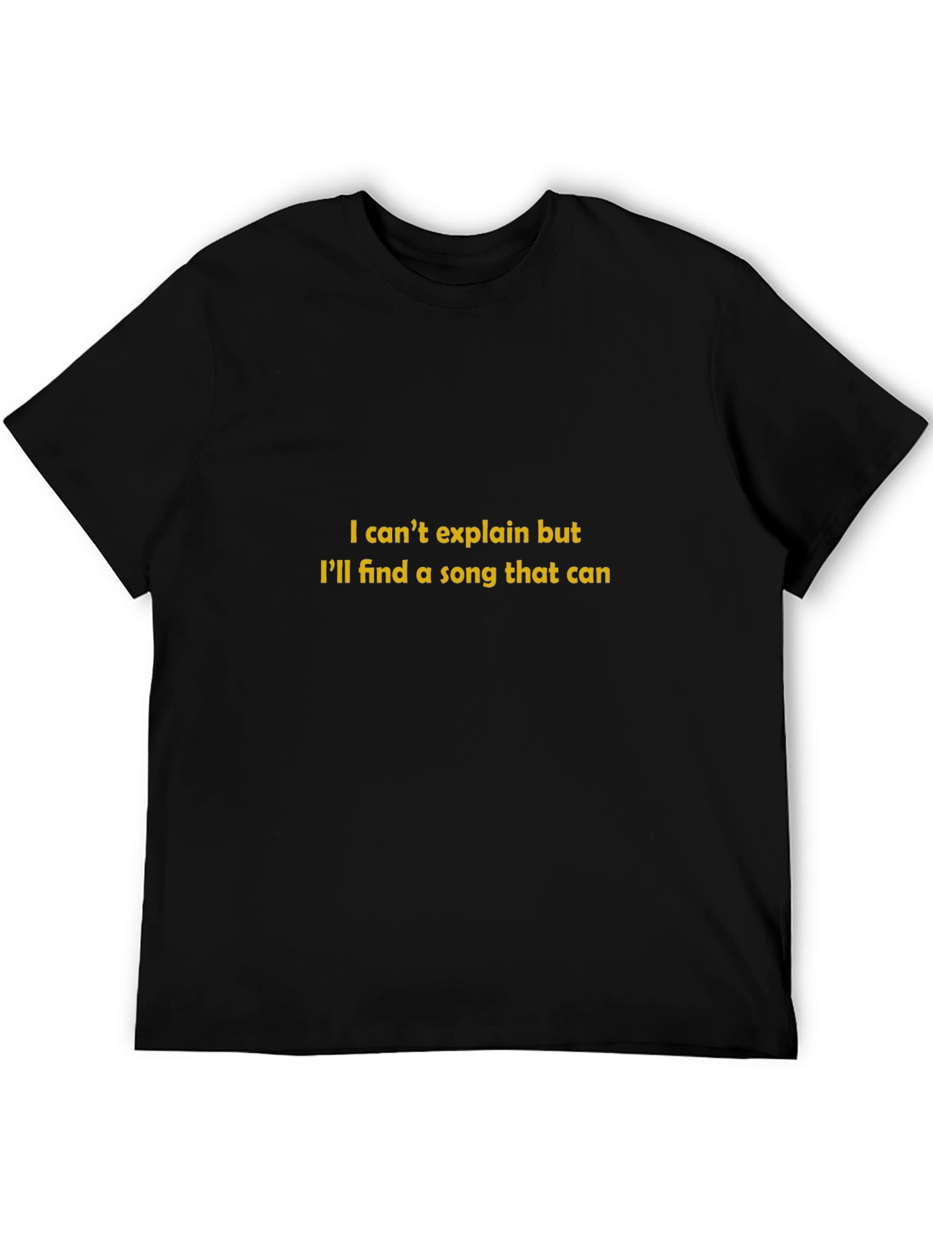Song Lyric T-Shirt - I Cant Explain