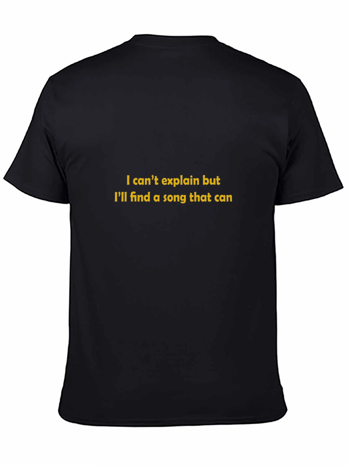 Song Lyric T-Shirt - I Cant Explain