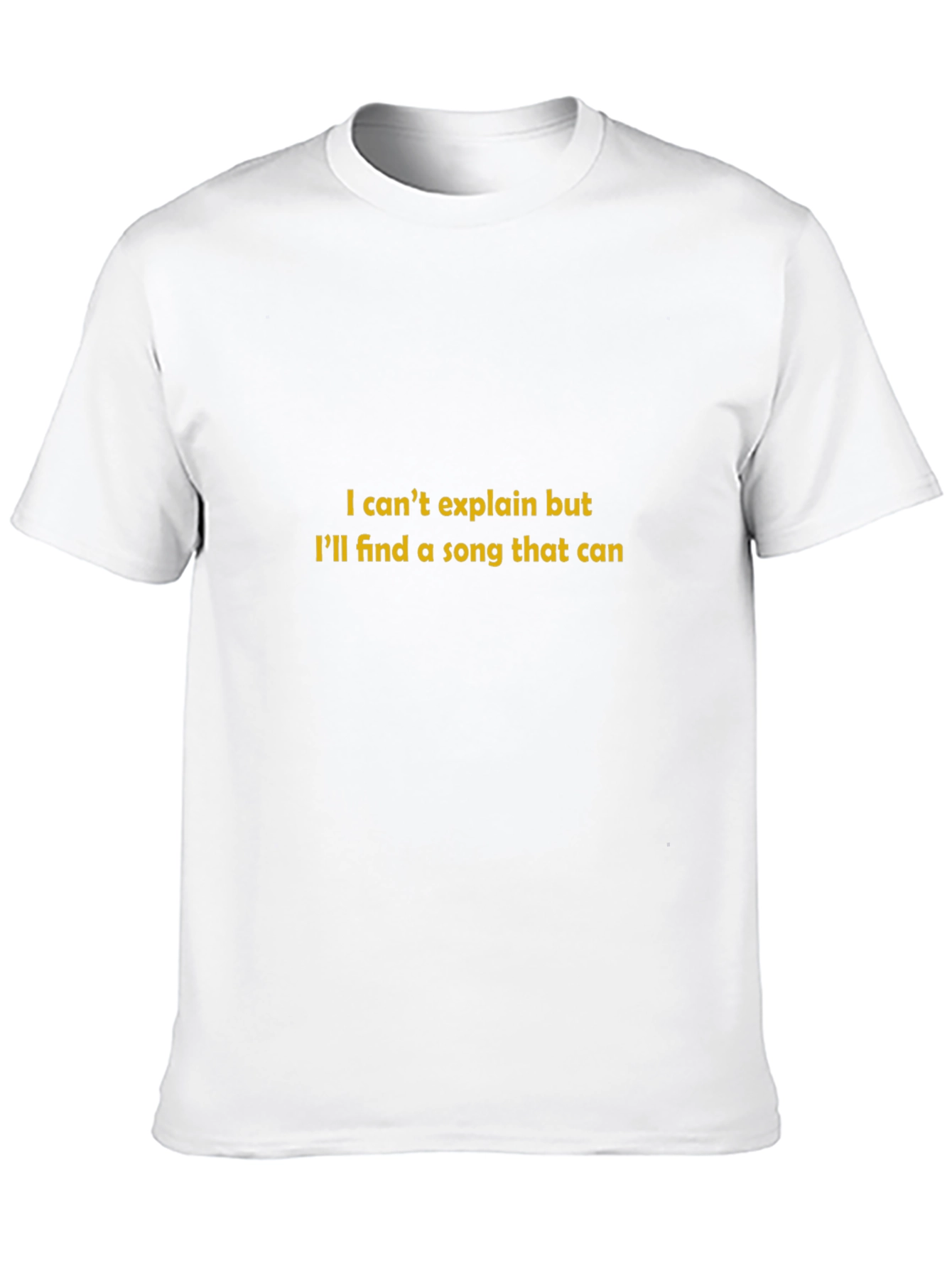 Song Lyric T-Shirt - I Cant Explain