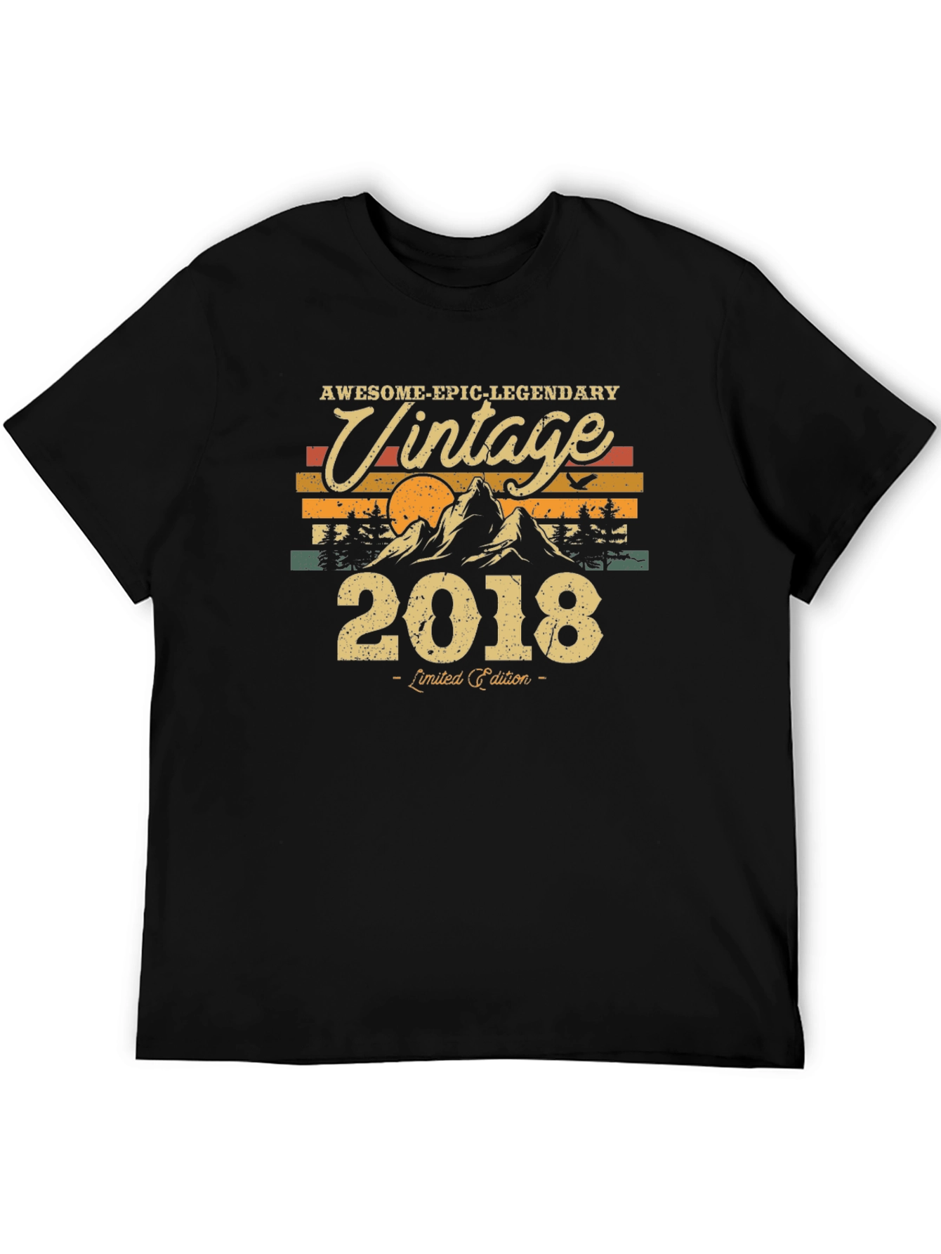Vintage 2018 T-Shirt