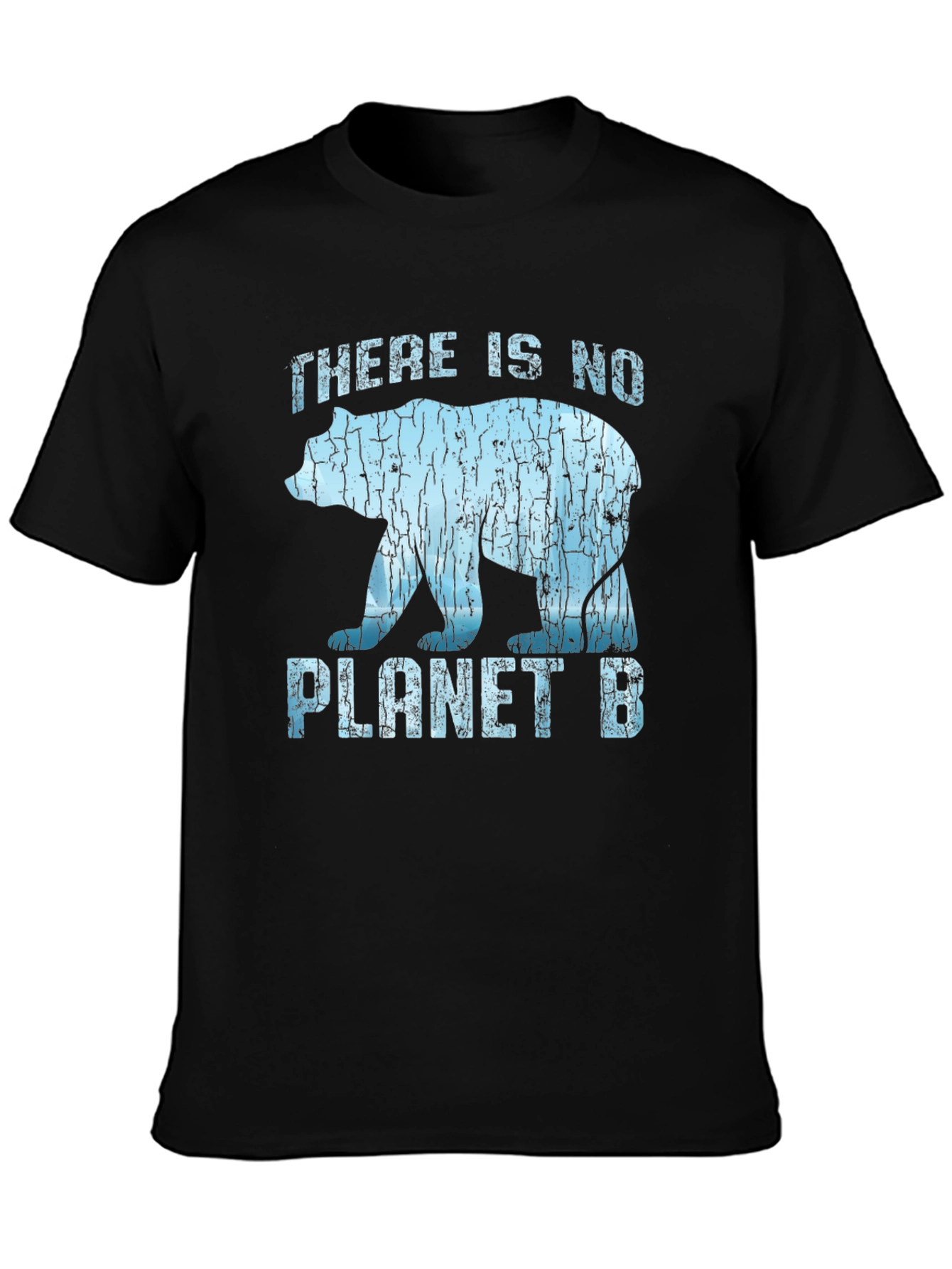 There Is No Planet B Graphic T-Shirt