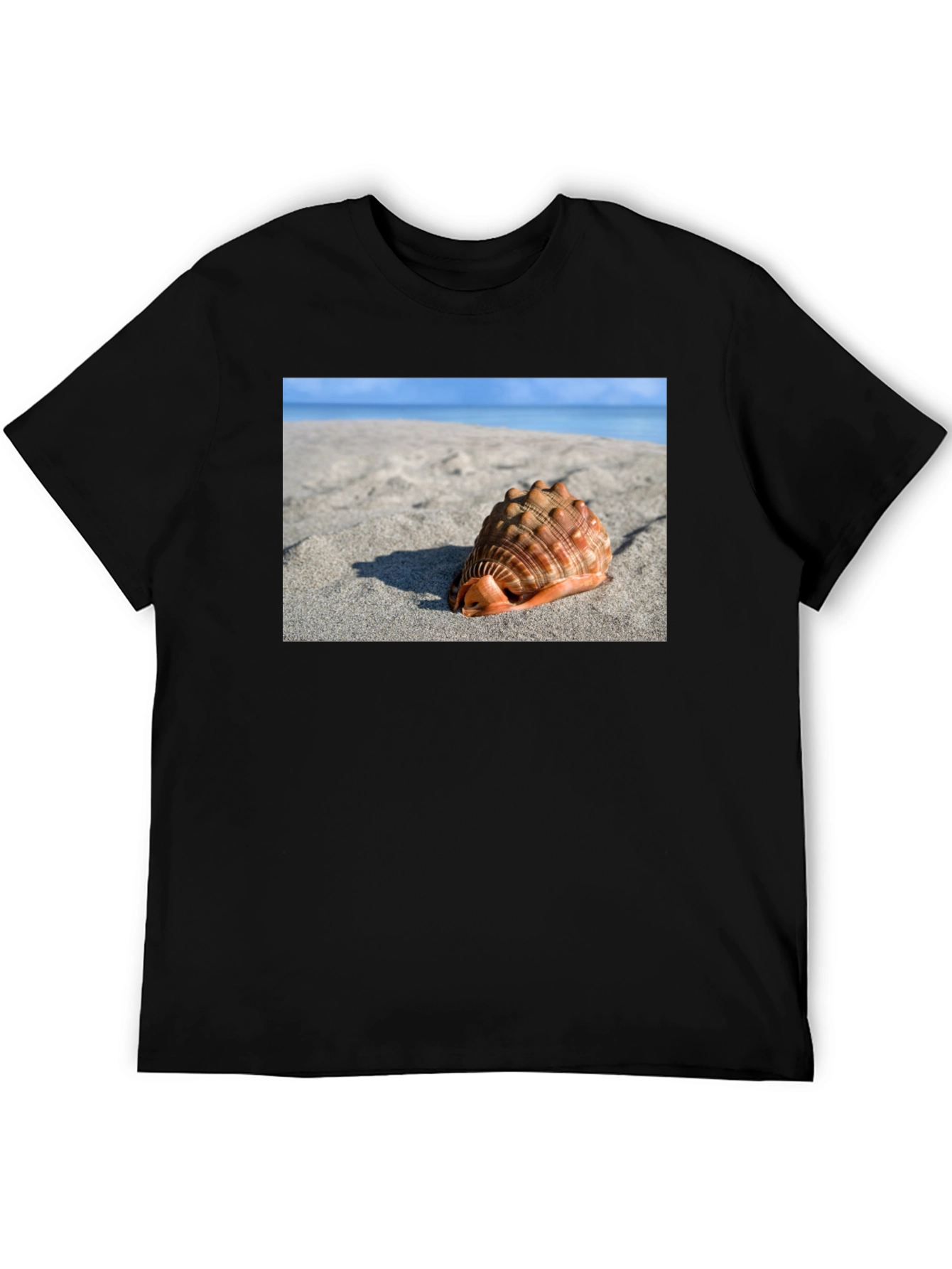 Seashell Beach Graphic Tee - Coastal Style