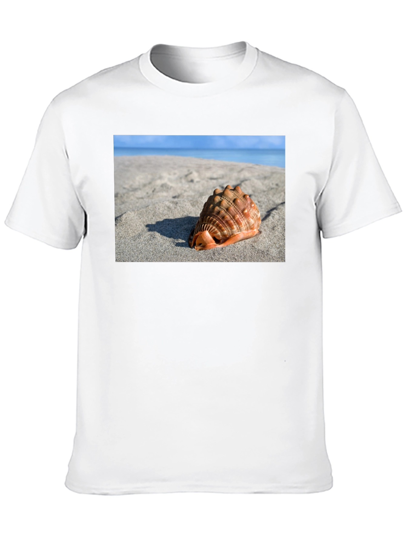 Seashell Beach Graphic Tee - Coastal Style