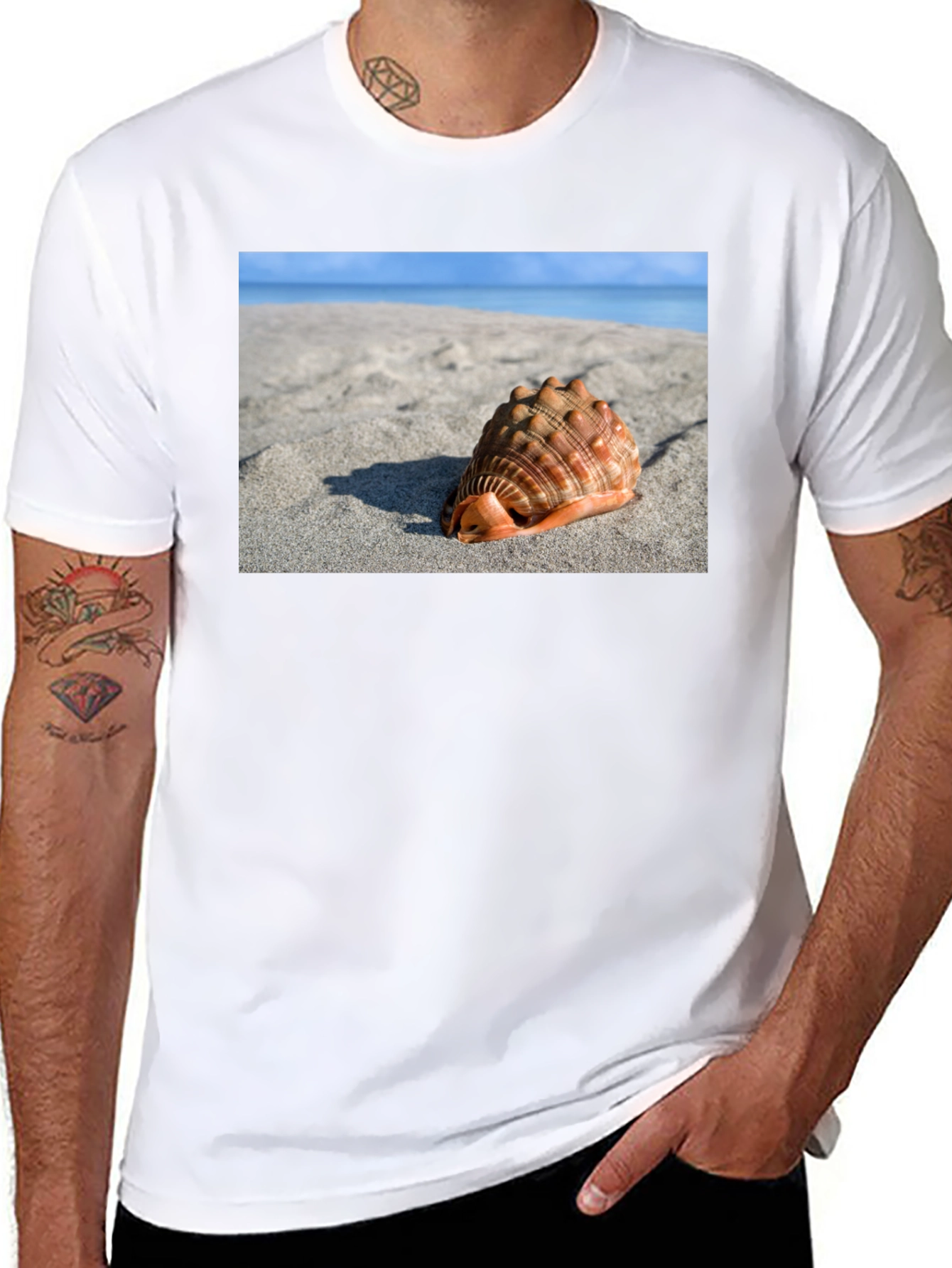 Seashell Beach Graphic Tee - Coastal Style