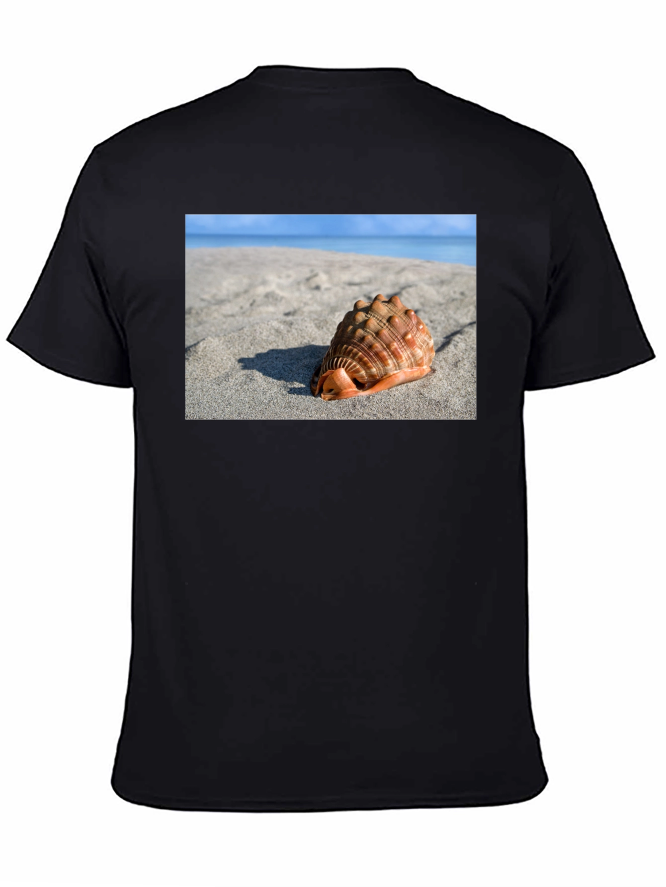 Seashell Beach Graphic Tee - Coastal Style