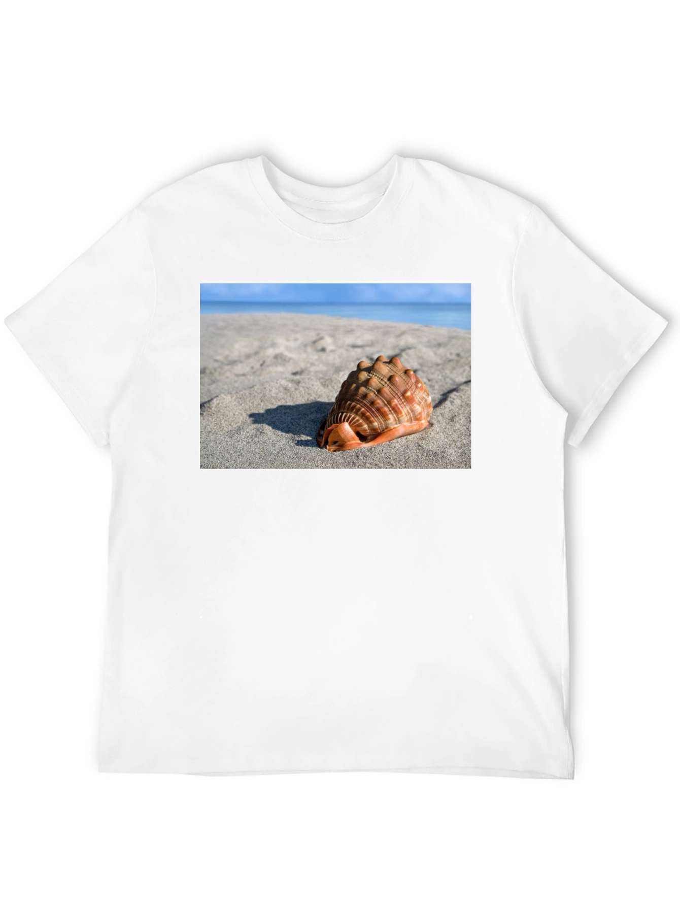 Seashell Beach Graphic Tee - Coastal Style