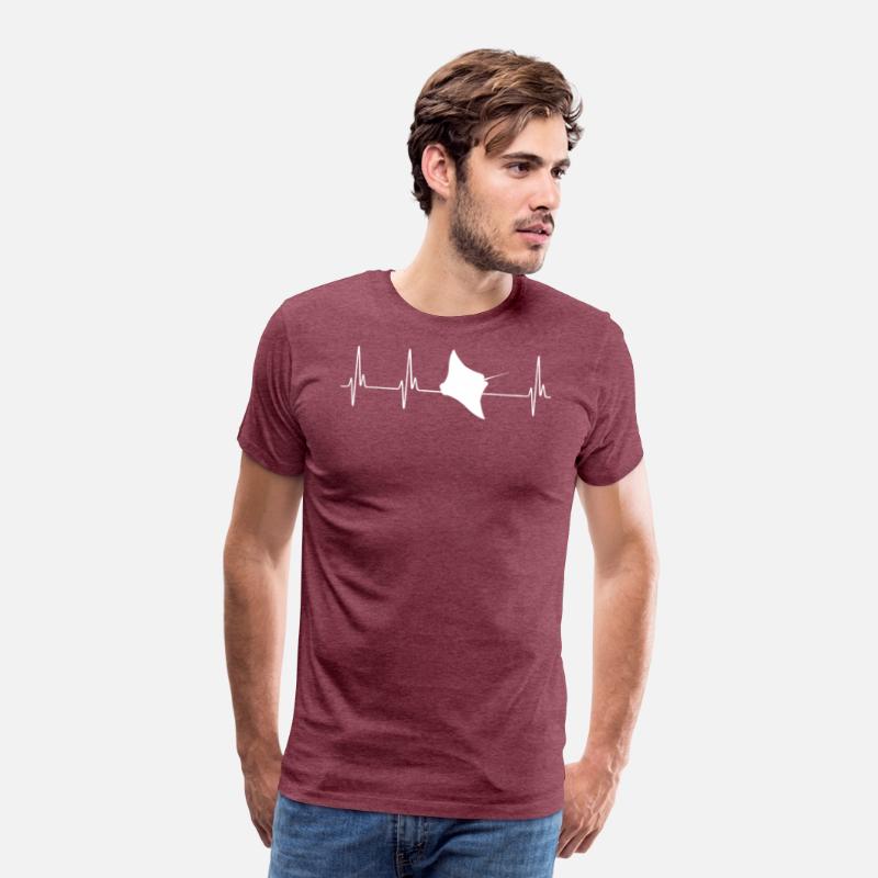 Stingray EKG